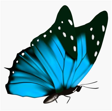 transparent blue butterfly|butterfly clip art with transparent background.